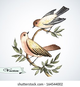 Vector watercolor bird lovers.  Illustration for greeting cards, invitations, and other printing and web projects.