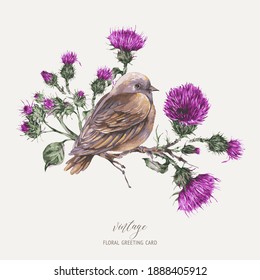 Vector watercolor bird on a branch with thistle greeting card. Vintage botanical illustration.