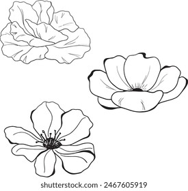 Vector Watercolor black outlines, flower clipart. Line collection for coloring book, Greeting cards, invitation, gender party, baby shower, birthday, event, holiday, wedding card, printable.