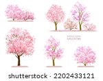 Vector watercolor blooming flower tree or forest side view isolated on white background for landscape and architecture drawing,elements for environment or and garden,Sakura tree for section