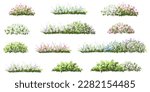 Vector watercolor blooming flower tree side view isolated on white background for landscape and architecture drawing, elements for environment and garden,botanical elements for section in spring 