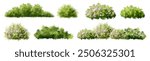  Vector watercolor blooming flower tree or forest side view isolated on white background for landscape and architecture drawing,elements for environment or and garden,green tree for garden section 