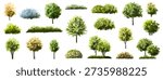  Vector watercolor blooming flower tree or forest side view isolated on white background for landscape and architecture drawing,elements for environment or and garden,green tree for garden section 