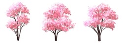 Vector Watercolor Blooming Flower Tree Side View Isolated On White Background For Landscape And Architecture Drawing, Elements For Environment And Garden,botanical Elements For Section In Spring
