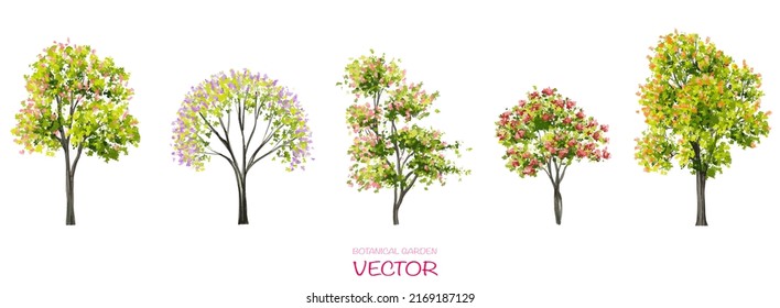 Vector watercolor blooming flower tree or forest side view isolated on white background for landscape and architecture drawing,elements for environment or and garden,botanical element for section 