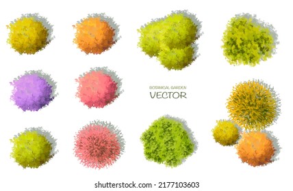 VektorAquarellblümblümblümblümblümAussicht auf Baum- oder Waldseite einzeln auf weißem Hintergrund für Landschafts- und Architekturzeichnung,Umwelt- oder Gartenelemente,botanisches Element für Sektion 