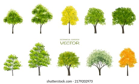 Vector acuarela florida flor vista lateral aislada en fondo blanco para el dibujo de paisaje y arquitectura, elementos para el medio ambiente o jardín, elementos botánicos para sección 