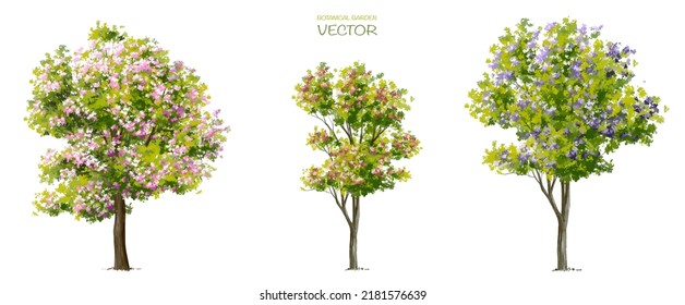 Vector watercolor blooming flower tree side view isolated on white background for landscape and architecture drawing, elements for environment or and garden,botanical elements for section 