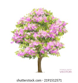 Vector acuarela florida flor vista lateral aislada en fondo blanco para el dibujo de paisaje y arquitectura, elementos para el medio ambiente o jardín, elementos botánicos para sección 