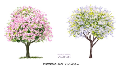 Vector watercolor blooming flower tree side view isolated on white background for landscape and architecture drawing, elements for environment or and garden,botanical elements for section 