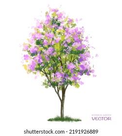 Vector watercolor blooming flower tree side view isolated on white background for landscape and architecture drawing, elements for environment or and garden,botanical elements for section 