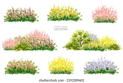 Vector watercolor blooming flower