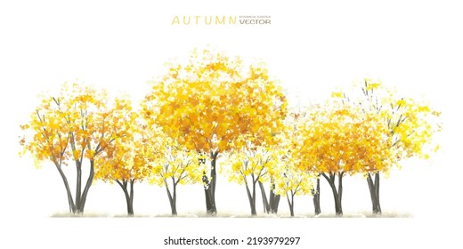Vector watercolor blooming flower tree or forest side view isolated on white background for landscape and architecture drawing,elements for environment or and garden,botanical element for autumn