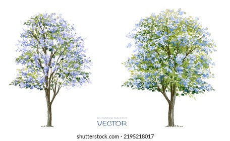 Vector watercolor blooming flower tree or forest side view isolated on white background for landscape and architecture drawing,elements for environment or and garden,botanical element for section  