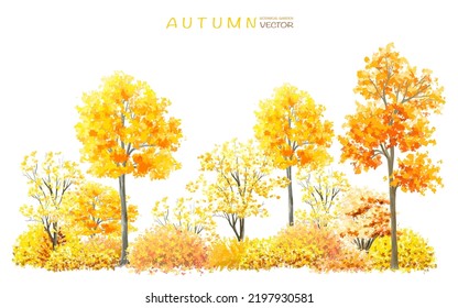 Vector watercolor blooming flower tree or forest side view isolated on white background for landscape and architecture drawing,elements for environment or and garden,botanical for section in autumn   