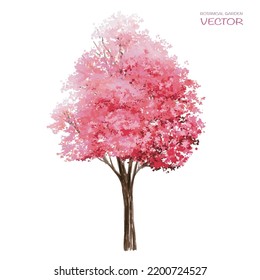 Vector watercolor blooming flower tree or forest side view isolated on white background for landscape and architecture drawing,elements for environment or and garden,spring botanical for section
