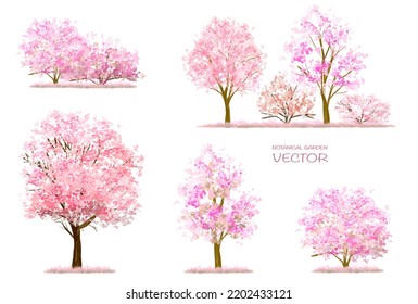 Vector watercolor blooming flower tree or forest side view isolated on white background for landscape and architecture drawing,elements for environment or and garden,Sakura tree for section
