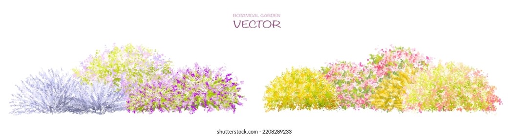 Vector acuarela florida flor vista lateral aislada en fondo blanco para el dibujo de paisaje y arquitectura, elementos para el medio ambiente o jardín, elementos botánicos para sección en primavera