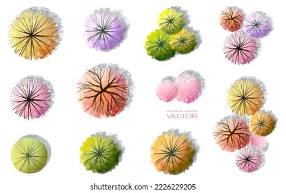 Vector watercolor blooming flower tree or forest top view isolated on white background for landscape and architecture drawing,elements for environment and garden,botanical for plan in autumn