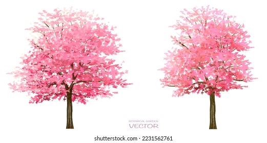 Vector watercolor blooming flower, tree or forest top view isolated on white background for landscape plan and architecture drawing,elements for environment and garden,botanical in spring