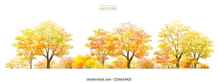 Vector watercolor blooming flower tree or forest side view isolated on white background for landscape and architecture drawing,elements for environment and garden,botanical for section in autumn