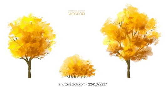 Vector watercolor blooming flower tree or forest side view isolated on white background for landscape and architecture drawing,elements for environment and garden,botanical for section in autumn   