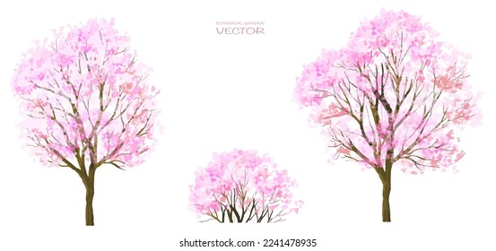 Vector watercolor blooming flower tree side view isolated on white background for landscape and architecture drawing, elements for environment and garden,botanical elements for section in spring 