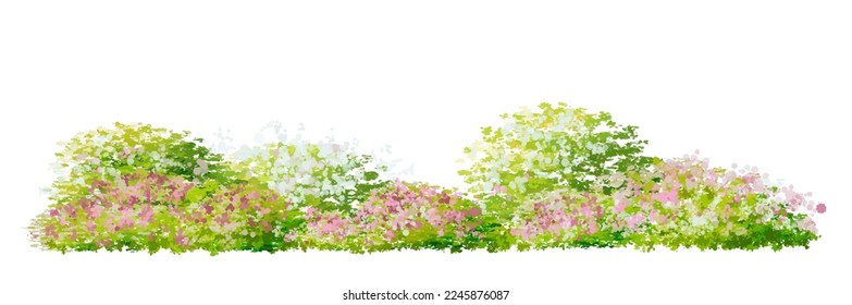 Vector watercolor blooming flower tree side view isolated on white background for landscape and architecture drawing, elements for environment and garden,botanical elements for section in spring 