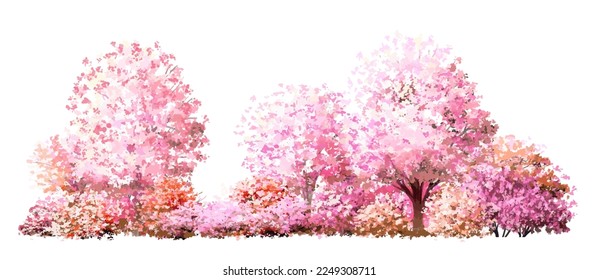 Vector watercolor blooming flower tree side view isolated on white background for landscape and architecture drawing, elements for environment and garden,botanical elements for section in spring 