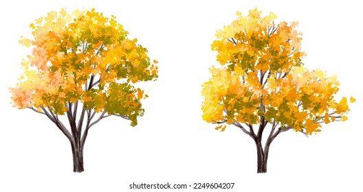 Vector watercolor blooming flower tree side view isolated on white background for landscape and architecture drawing, elements for environment and garden,botanical elements for section in autumn