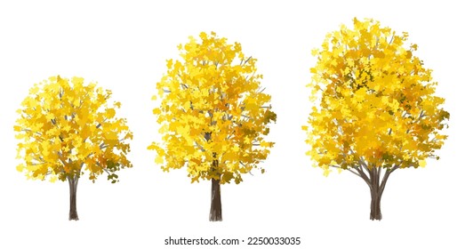 Vector watercolor blooming flower tree or forest side view isolated on white background for landscape and architecture drawing,elements for environment and garden,botanical for section in autumn   