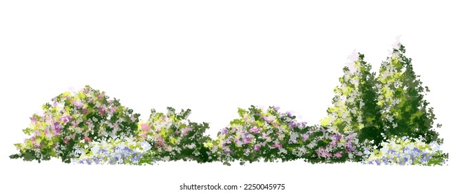 Vector watercolor blooming flower tree side view isolated on white background for landscape and architecture drawing, elements for environment and garden,botanical elements for section in spring 