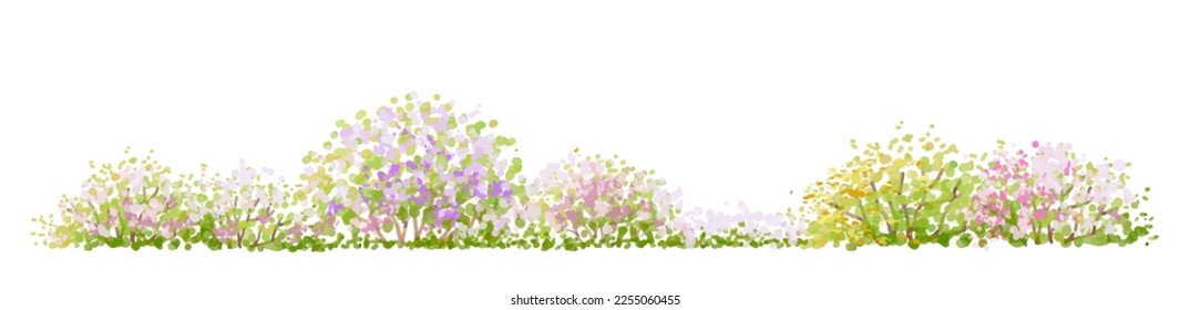 Vector watercolor blooming flower tree side view isolated on white background for landscape and architecture drawing, elements for environment and garden,botanical elements for section in spring 