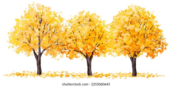 Vector watercolor blooming flower tree side view isolated on white background for landscape and architecture drawing, elements for environment and garden,botanical elements for section in autumn