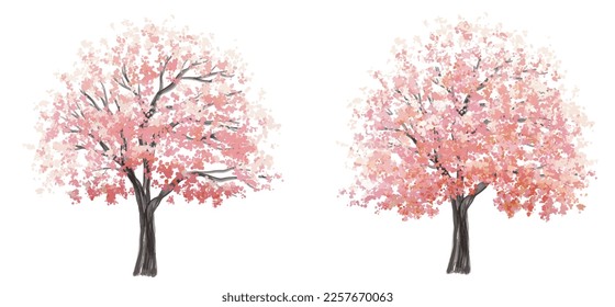 Vector watercolor blooming flower tree side view isolated on white background for landscape and architecture drawing, elements for environment and garden,botanical elements for section in spring 