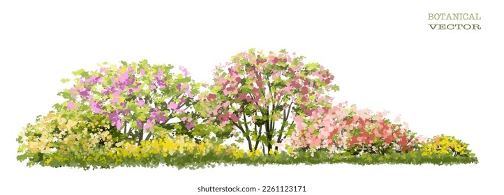 Vector watercolor blooming flower tree side view isolated on white background for landscape and architecture drawing, elements for environment and garden,botanical elements for section in spring 