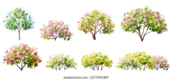 Vector watercolor blooming flower tree side view isolated on white background for landscape and architecture drawing, elements for environment and garden,botanical elements for section in spring 