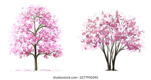 Vector watercolor blooming flower tree side view isolated on white background for landscape and architecture drawing, elements for environment and garden,Sakura tree elements for section in spring 