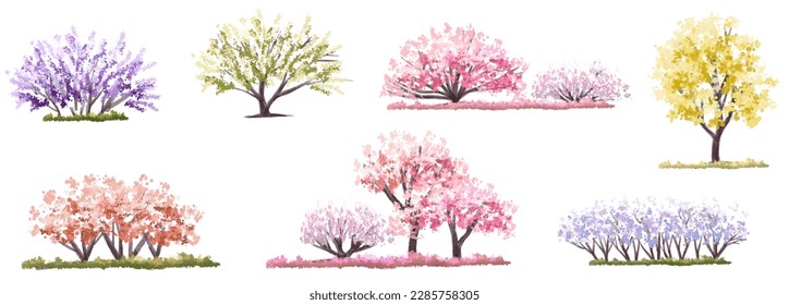 Vector watercolor blooming flower tree side view isolated on white background for landscape and architecture drawing, elements for environment and garden,botanical elements for section in spring 