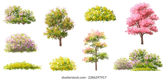 Vector watercolor blooming flower tree side view isolated on white background for landscape and architecture drawing, elements for environment and garden,botanical elements for section in spring 