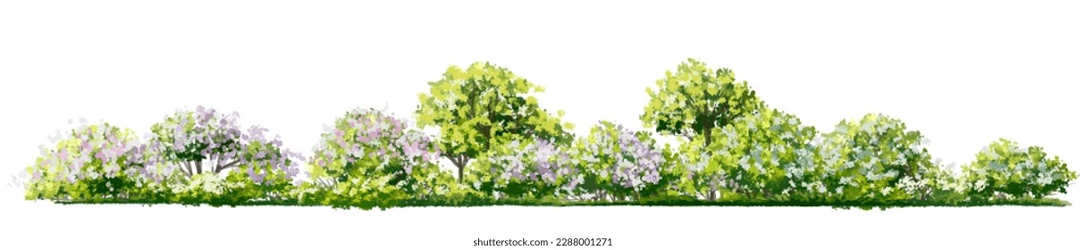 Vector watercolor blooming flower tree side view isolated on white background for landscape and architecture drawing, elements for environment and garden,botanical elements for section in spring 