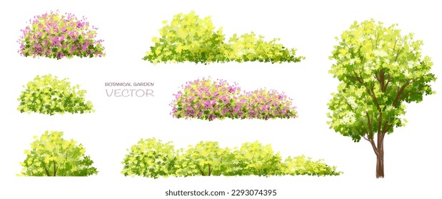 Vector watercolor blooming flower tree side view isolated on white background for landscape and architecture drawing, elements for environment and garden,botanical elements for section in spring 