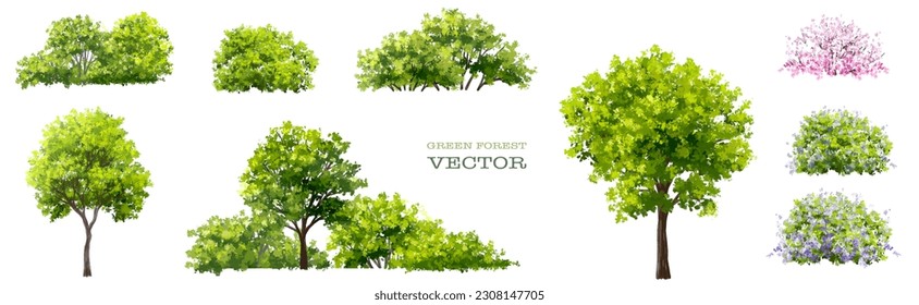 Vector watercolor blooming flower tree side view isolated for landscape and architecture drawing, elements for environment and garden,botanical elements for section in spring
