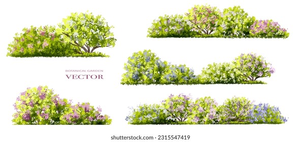 Vector watercolor blooming flower tree side view isolated for landscape and architecture drawing, elements for environment and garden,botanical elements for section in spring 