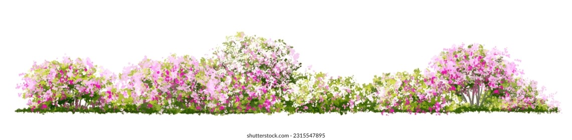 Vector watercolor blooming flower tree side view isolated for landscape and architecture drawing, elements for environment and garden,botanical elements for section in spring 