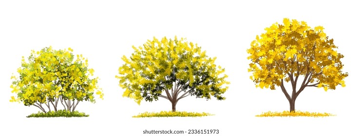 Vector acuarela florida flor vista lateral aislada para el dibujo de paisajes y arquitectura, elementos para el medio ambiente y jardín, elementos botánicos para sección en primavera y otoño 