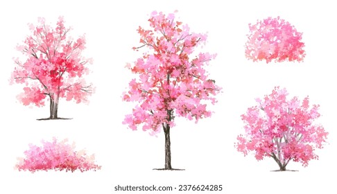 Vector watercolor blooming flower tree or forest side view isolated on white background for landscape and architecture drawing,elements for environment or and garden,Sakura tree for section 