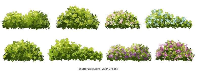 Vector watercolor blooming flower tree or forest top view isolated on white background for landscape plan and architecture drawing,plant for environment or garden,botanical element for exterior layout