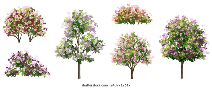 Vector watercolor blooming flower tree or forest side view isolated on white background for landscape and architecture drawing,elements for environment or and garden,botanical element for section