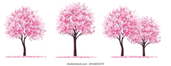 Vector acuarela flor flor árbol o vista lateral del bosque aislado en fondo blanco para el paisaje y el dibujo arquitectónico, elementos para el medio ambiente o el jardín, árbol Sakura para sección ,Conjunto de fletos